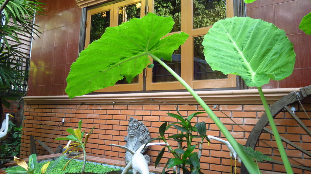 Big Lyna Villa Siem Reap Exterior photo